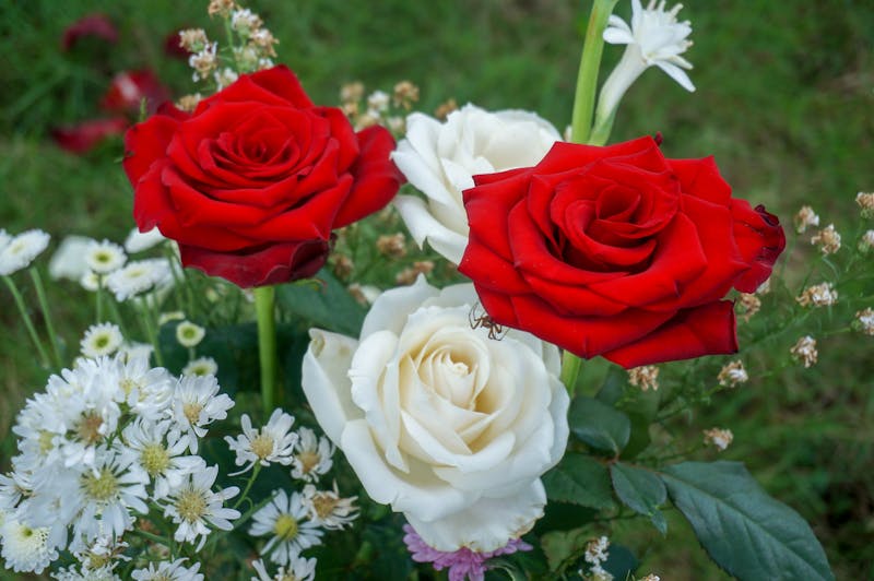 Compositions florales personnalisées